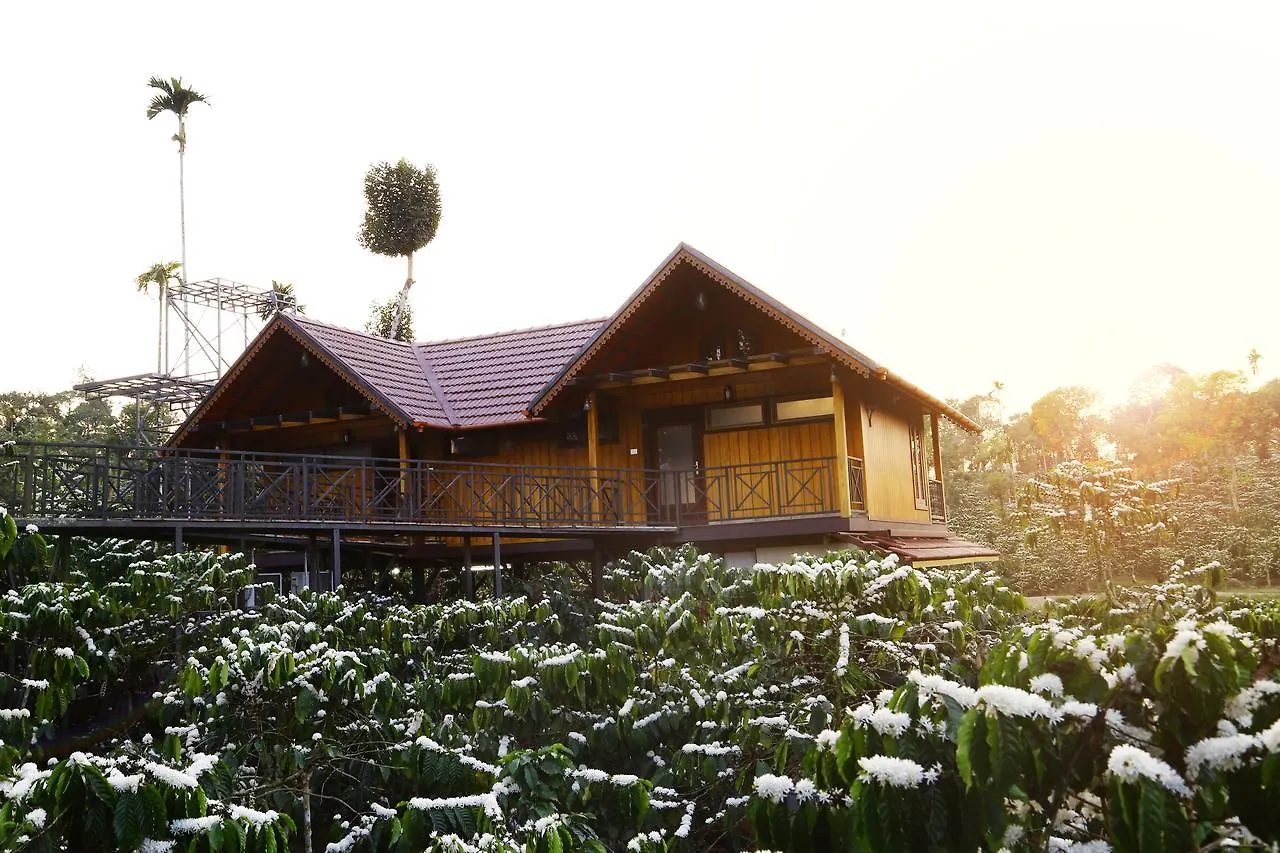 Brown Bean Resort Kalpetta