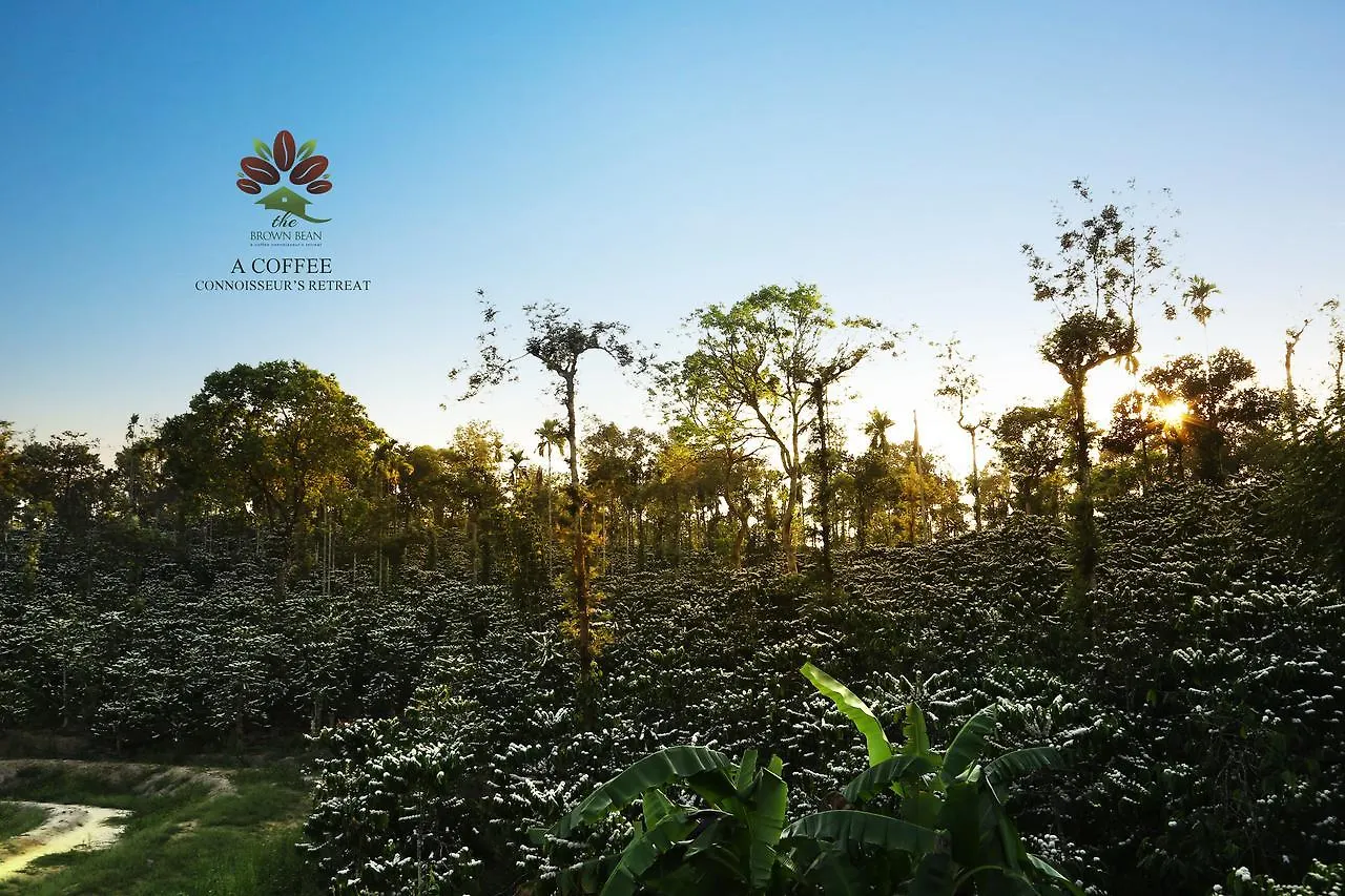 Brown Bean Resort Kalpetta